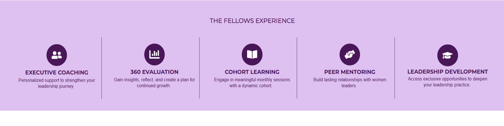 The Fellows Experience