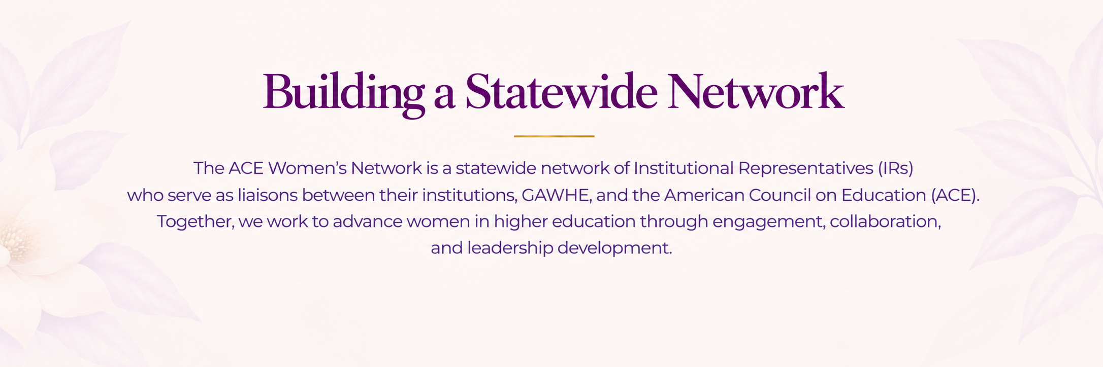 Building a Statewide Network